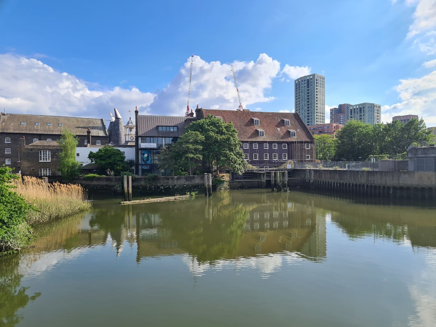 The tidal River Lea at Three Mills: historic mill buildings and trees reflected in calm green water, with cranes and new tower blocks rising behind