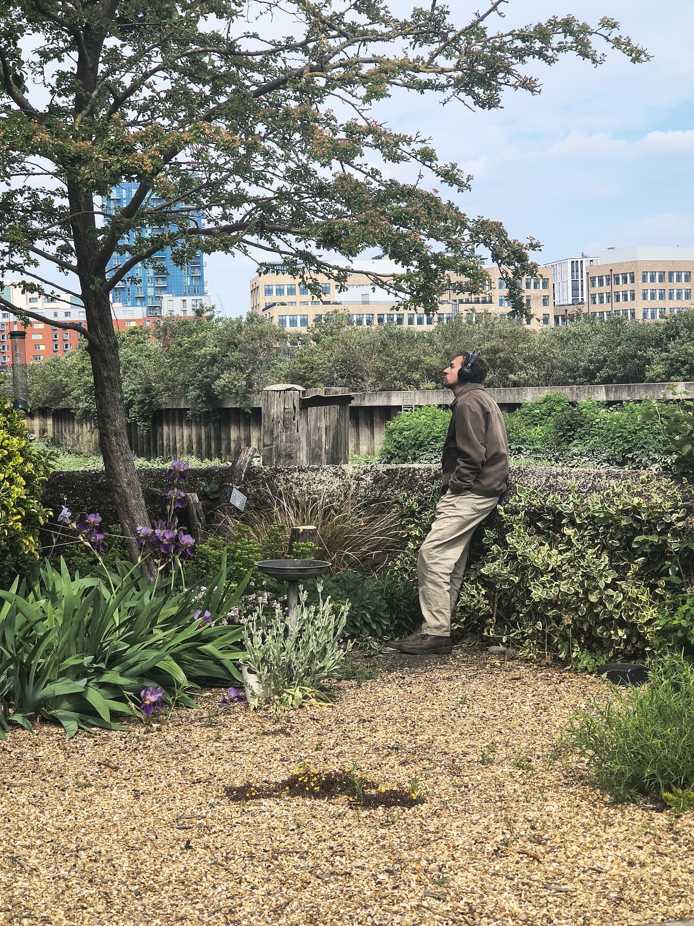 A participant in headphones leans back against a garden hedge listening, beside purple irises and a bird bath
