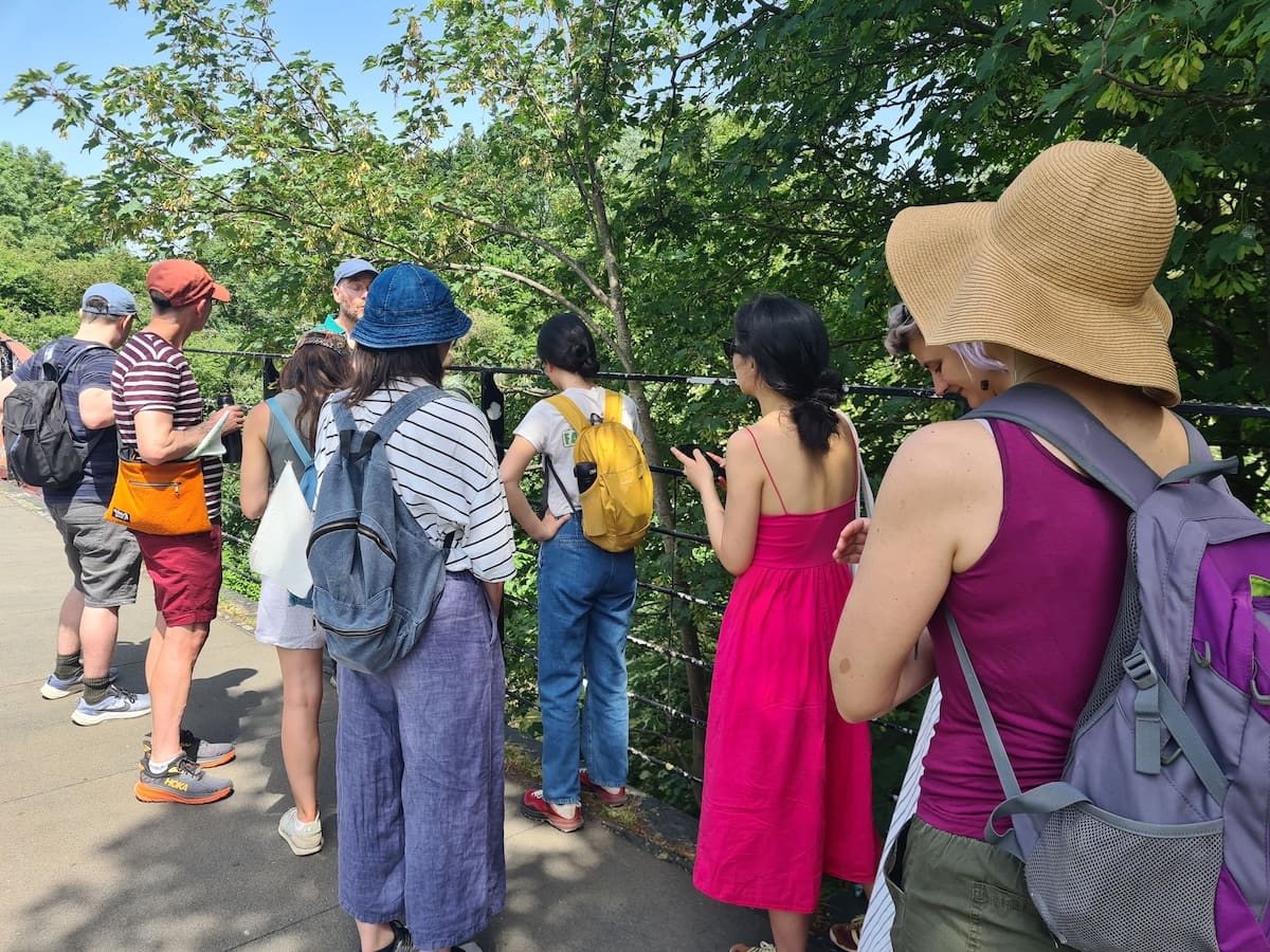 The walking group pauses at a railing beneath the trees, looking out over the river below